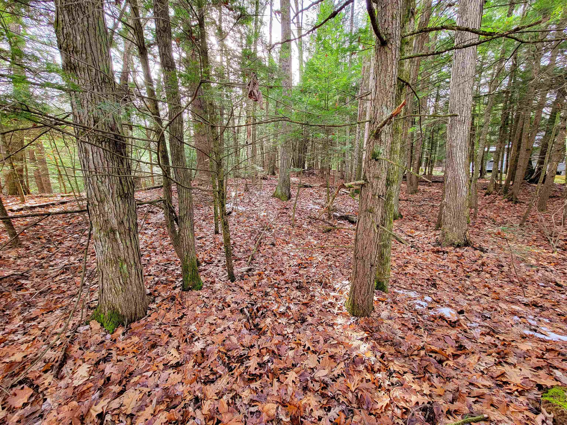 43 Tanglewood Drive Essex VT 05452