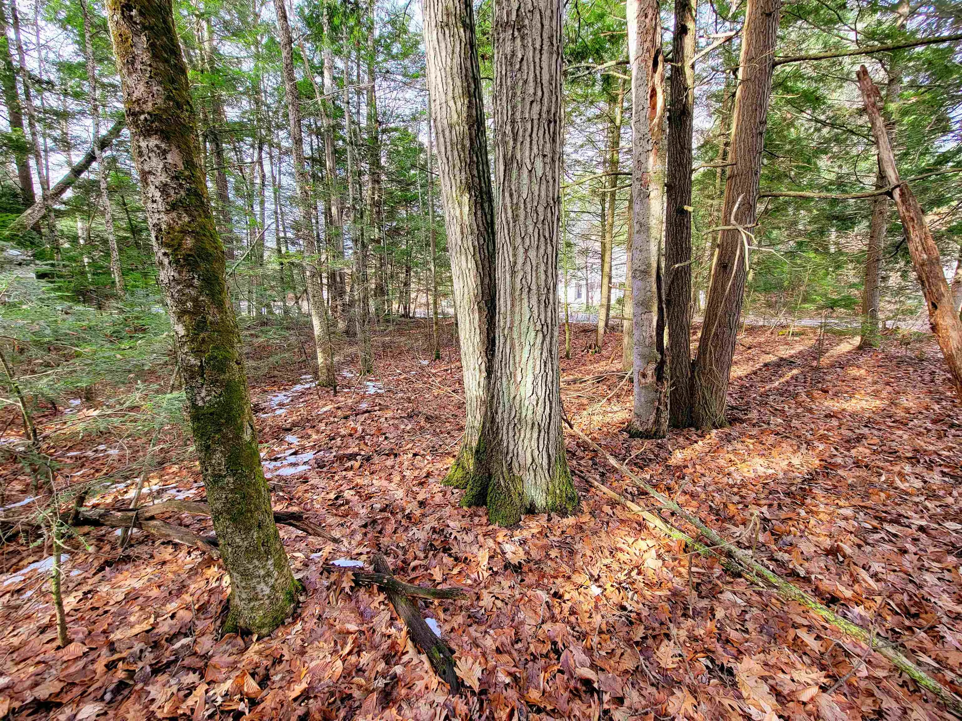 43 Tanglewood Drive Essex VT 05452