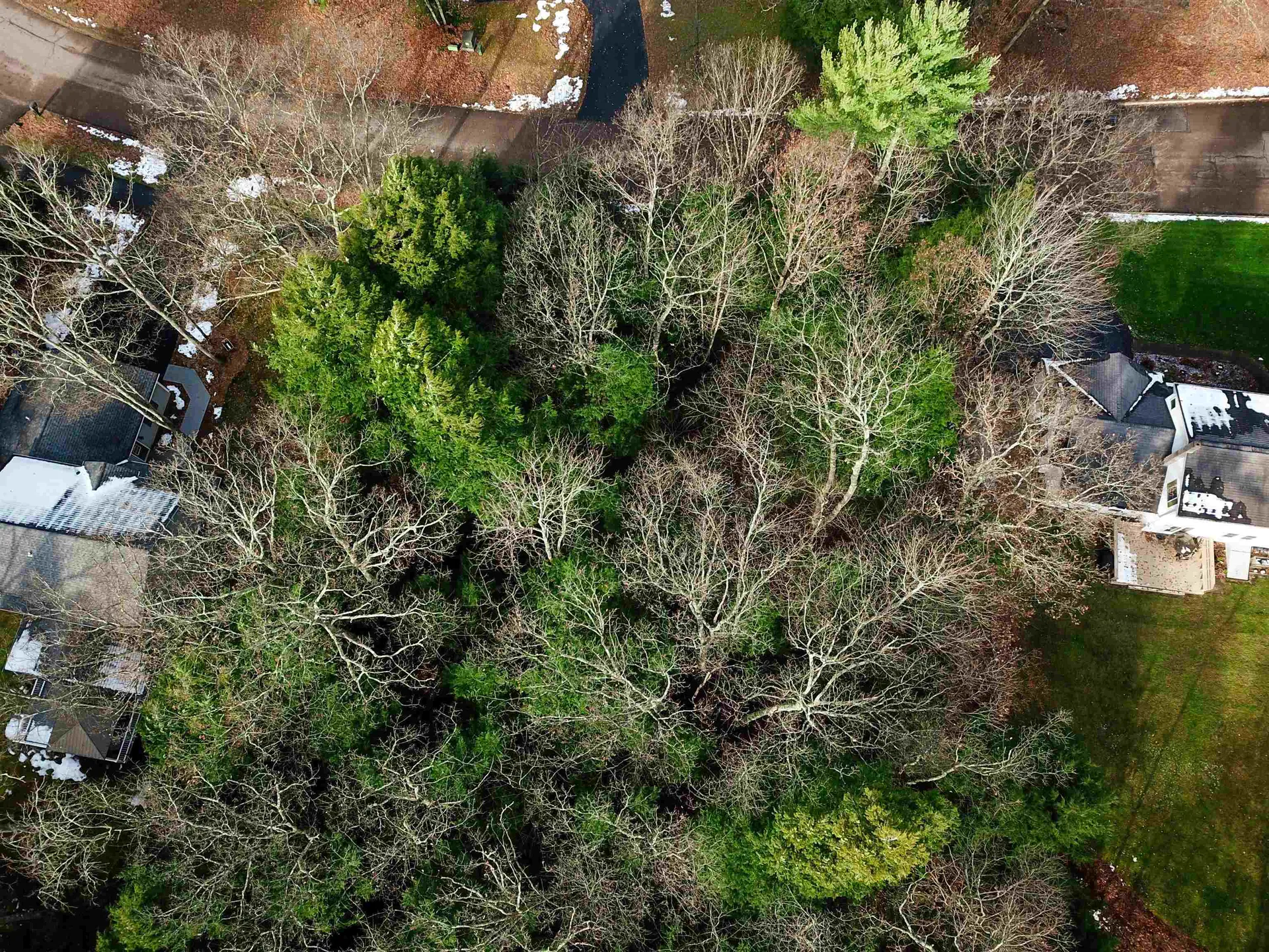 43 Tanglewood Drive Essex VT 05452