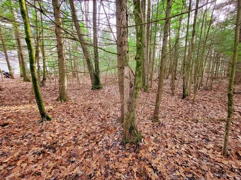 43 Tanglewood Drive Essex VT 05452