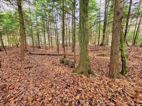 43 Tanglewood Drive Essex VT 05452