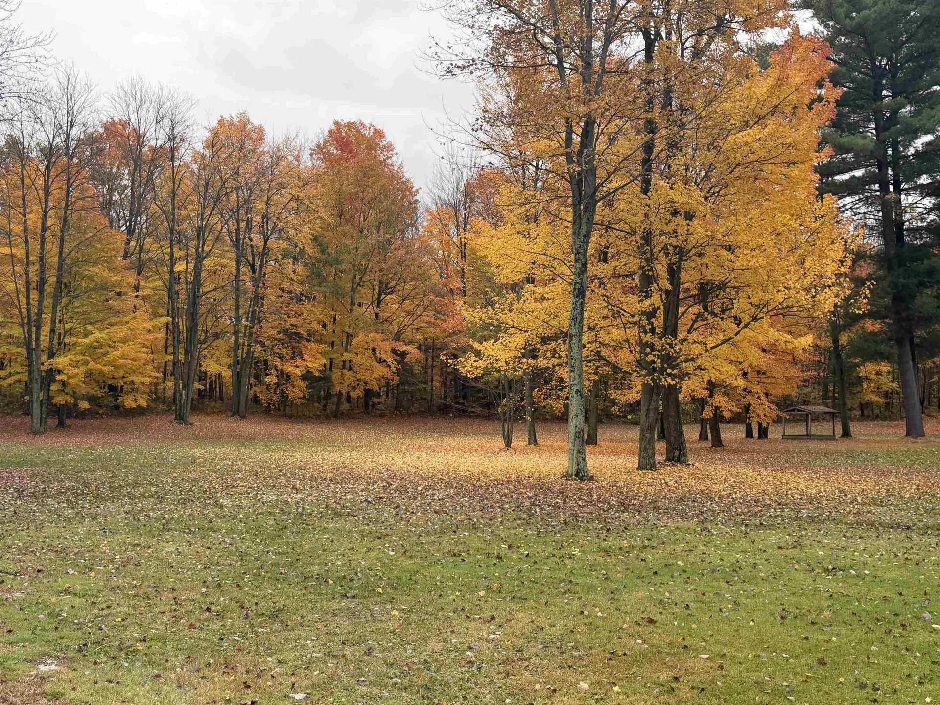 540 Route 7 Highgate VT 05488