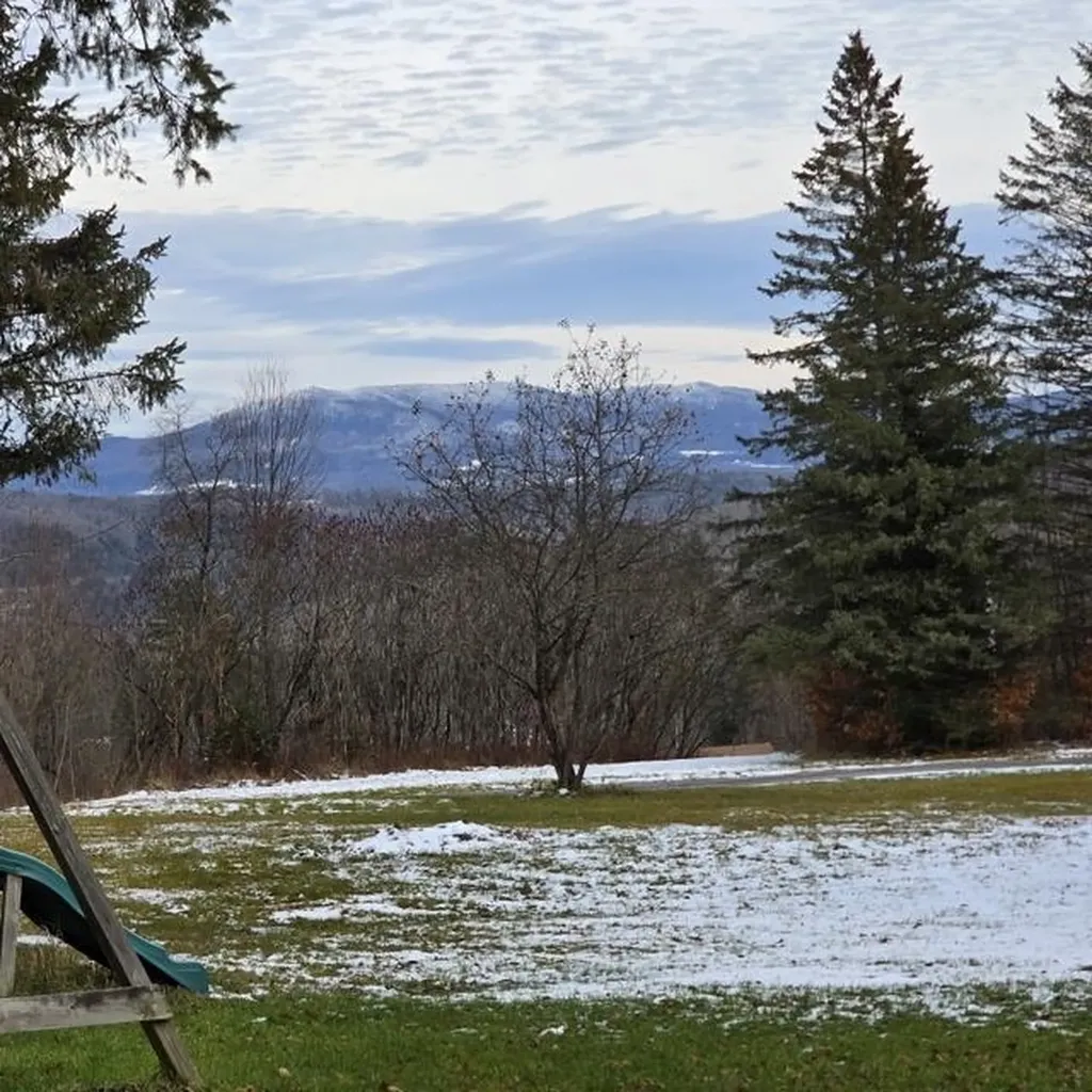 196 Hudson Drive Wheelock VT 05851