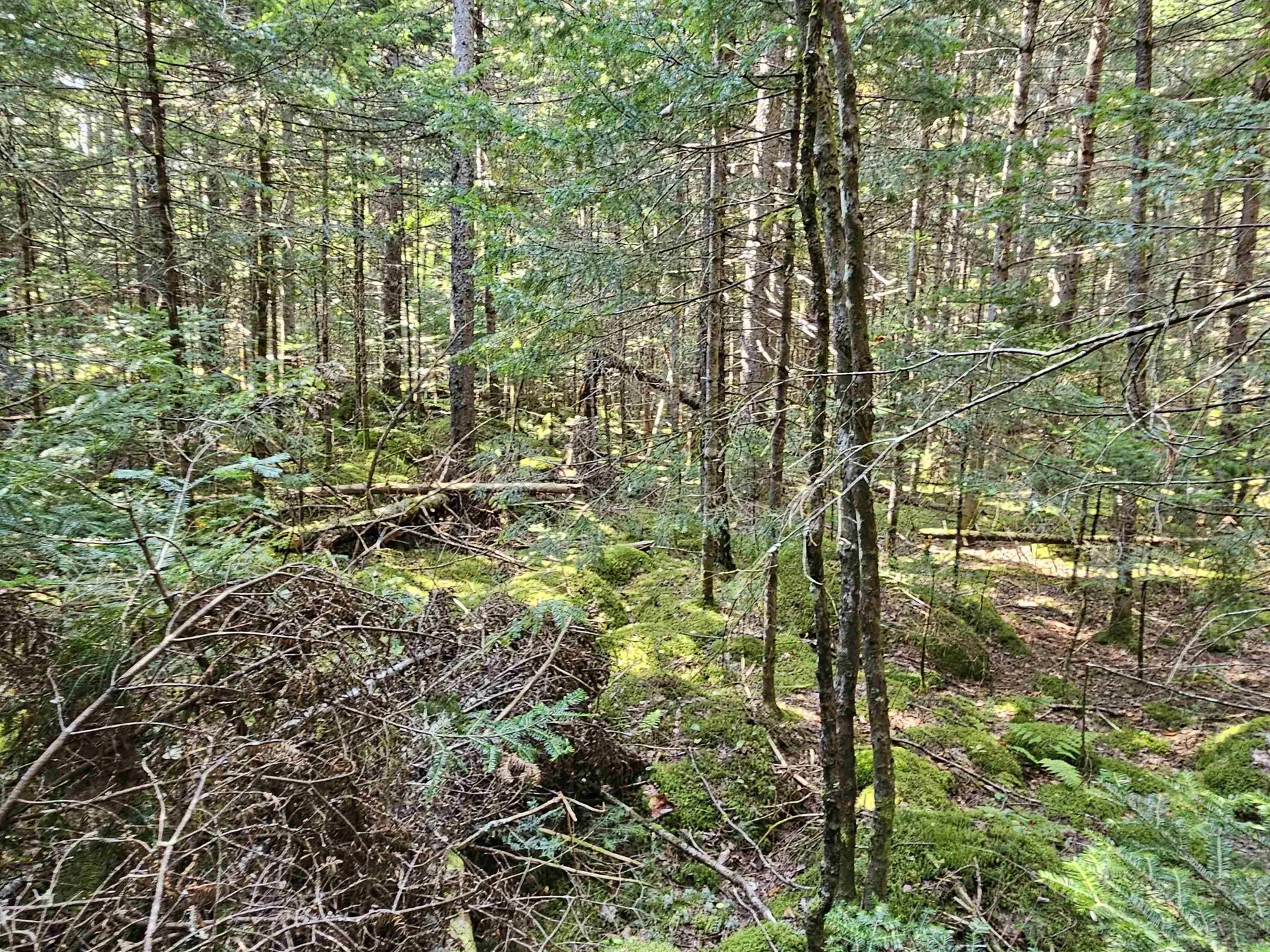 1476 Profile Road Franconia NH 03580