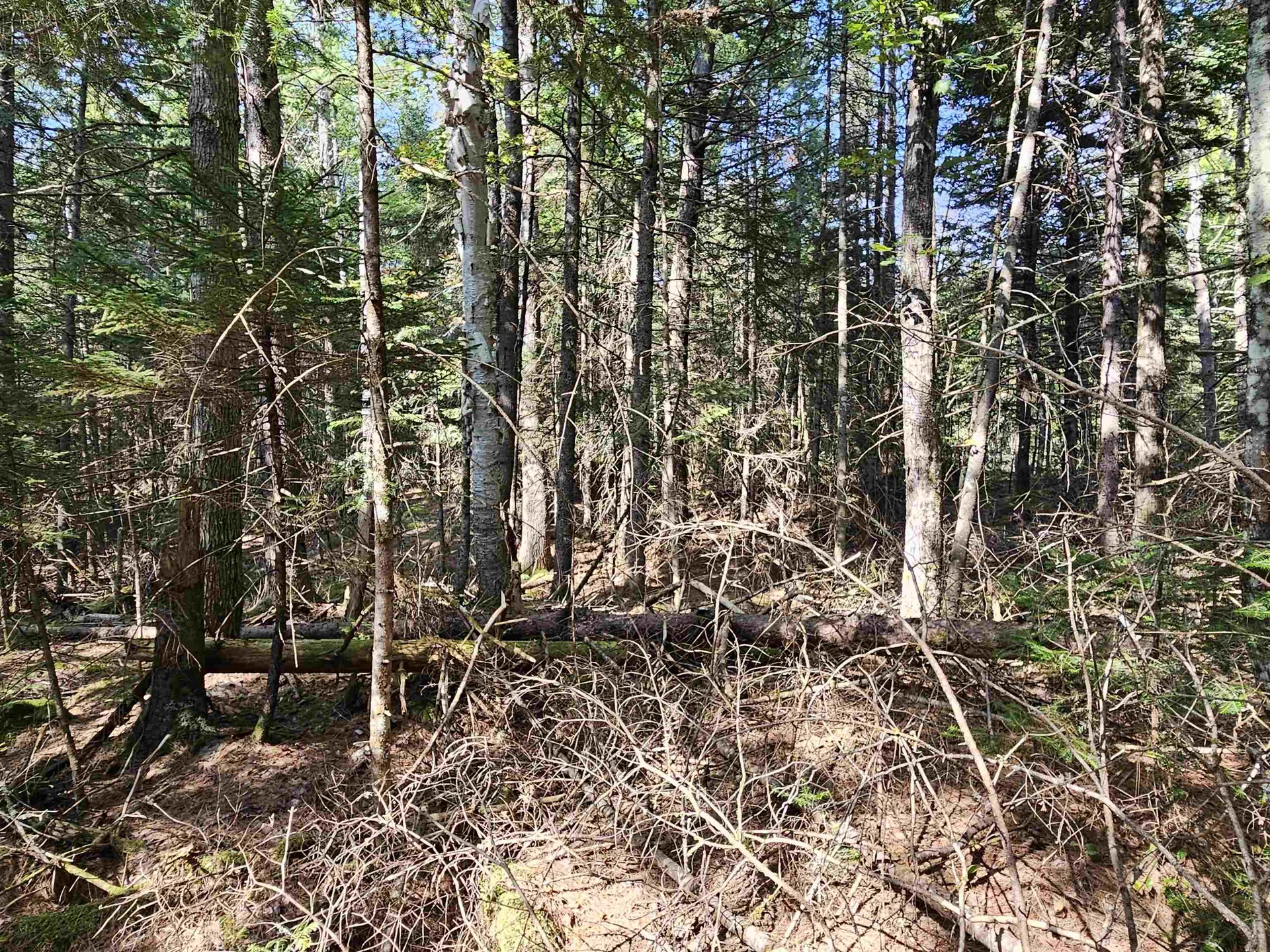 1476 Profile Road Franconia NH 03580