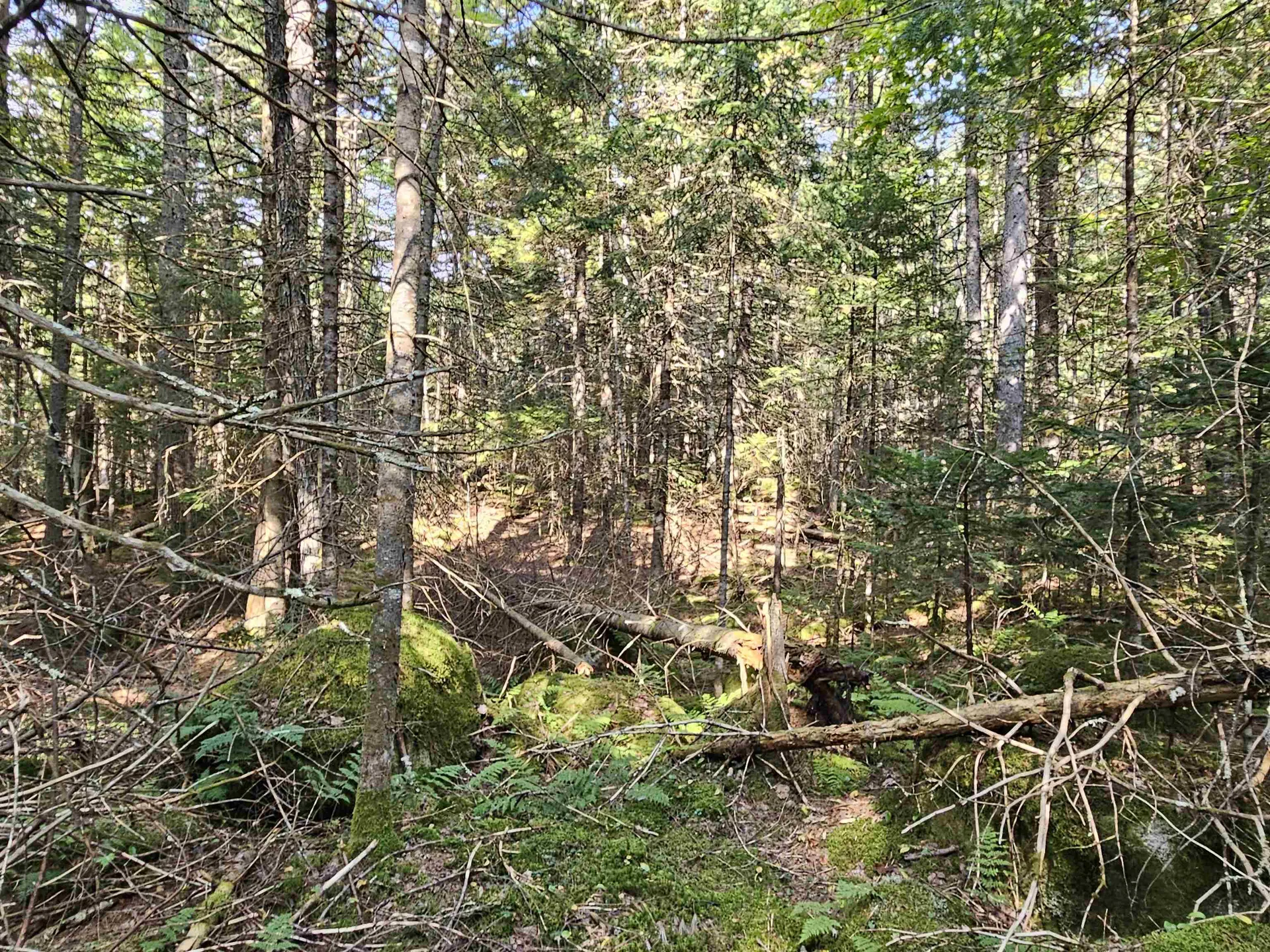 1476 Profile Road Franconia NH 03580