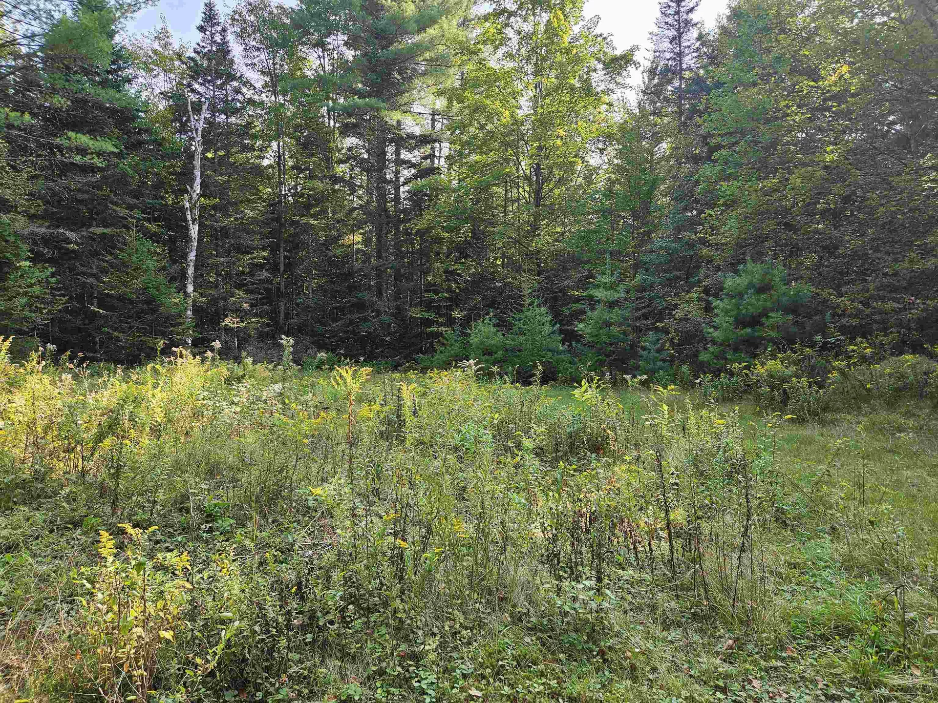 1476 Profile Road Franconia NH 03580