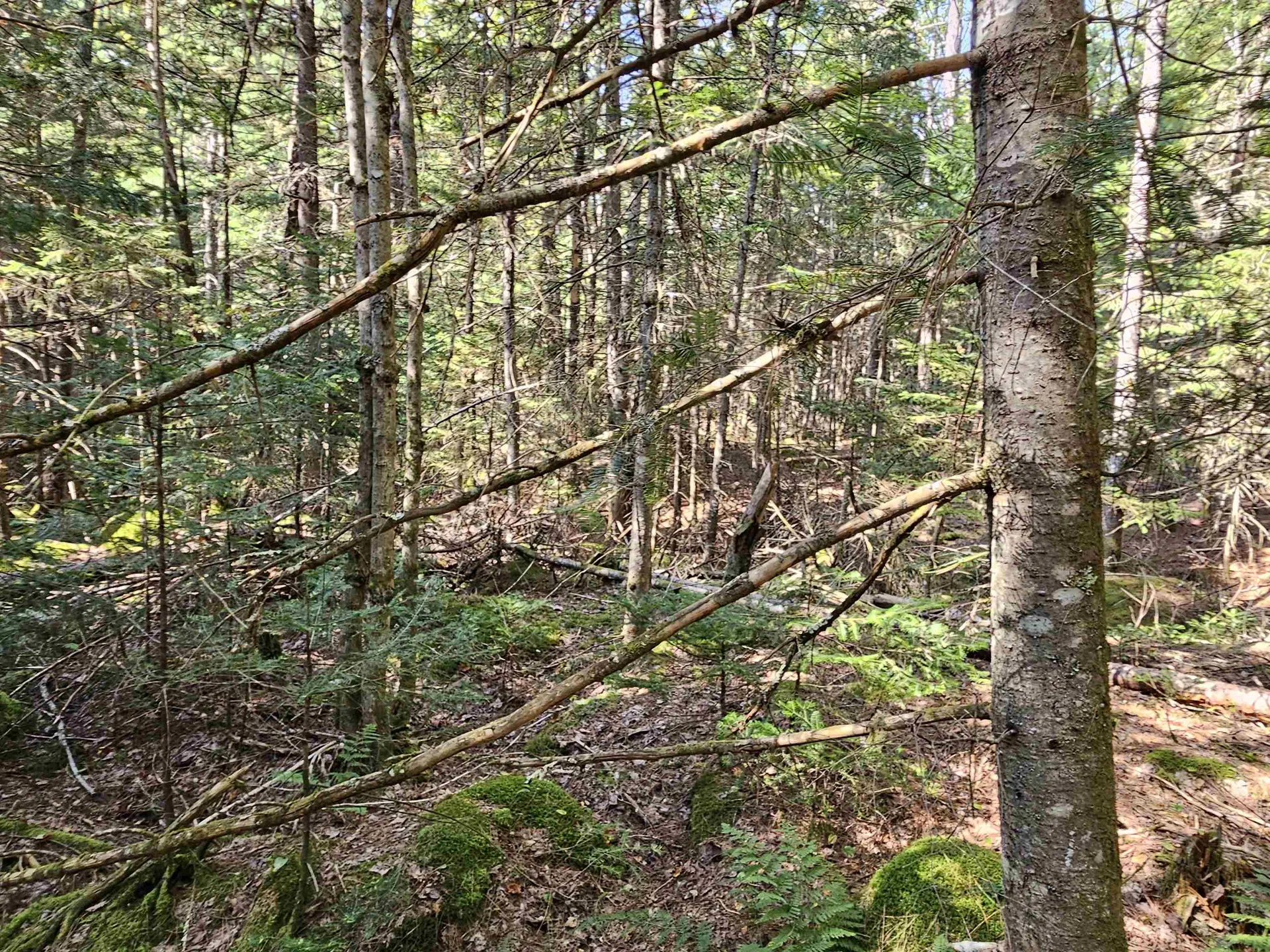 1476 Profile Road Franconia NH 03580