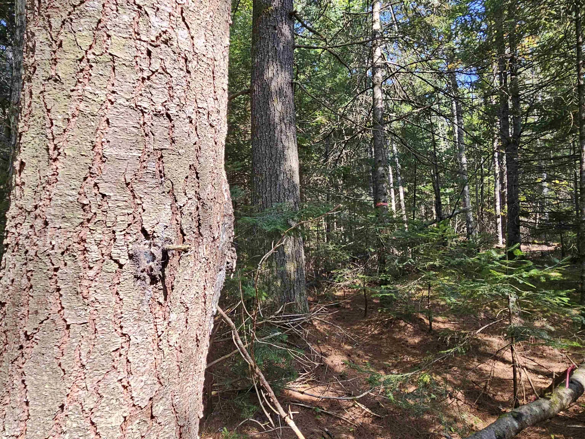 1476 Profile Road Franconia NH 03580