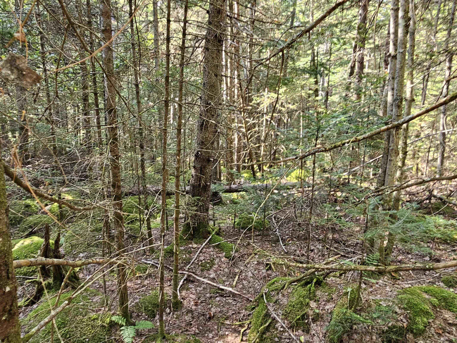 1476 Profile Road Franconia NH 03580