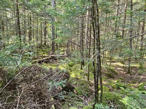 1476 Profile Road Franconia NH 03580