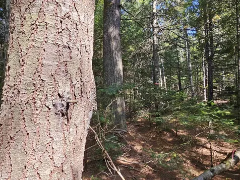 1476 Profile Road Franconia NH 03580