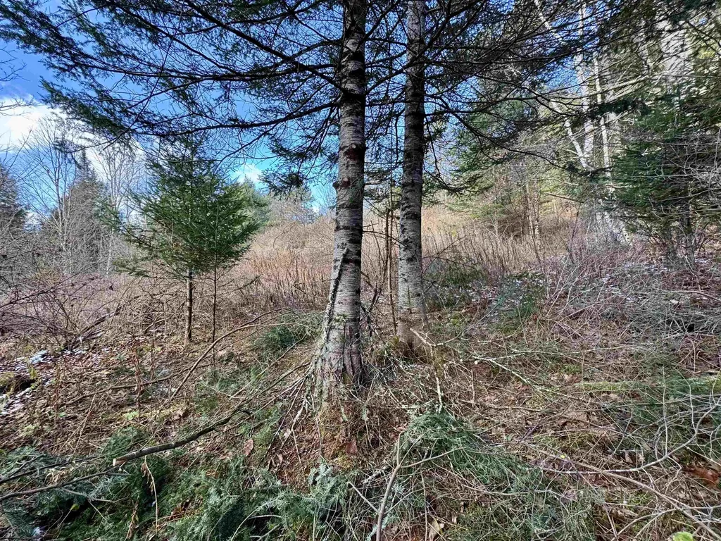 663 Ferguson Road Barnet VT 05821