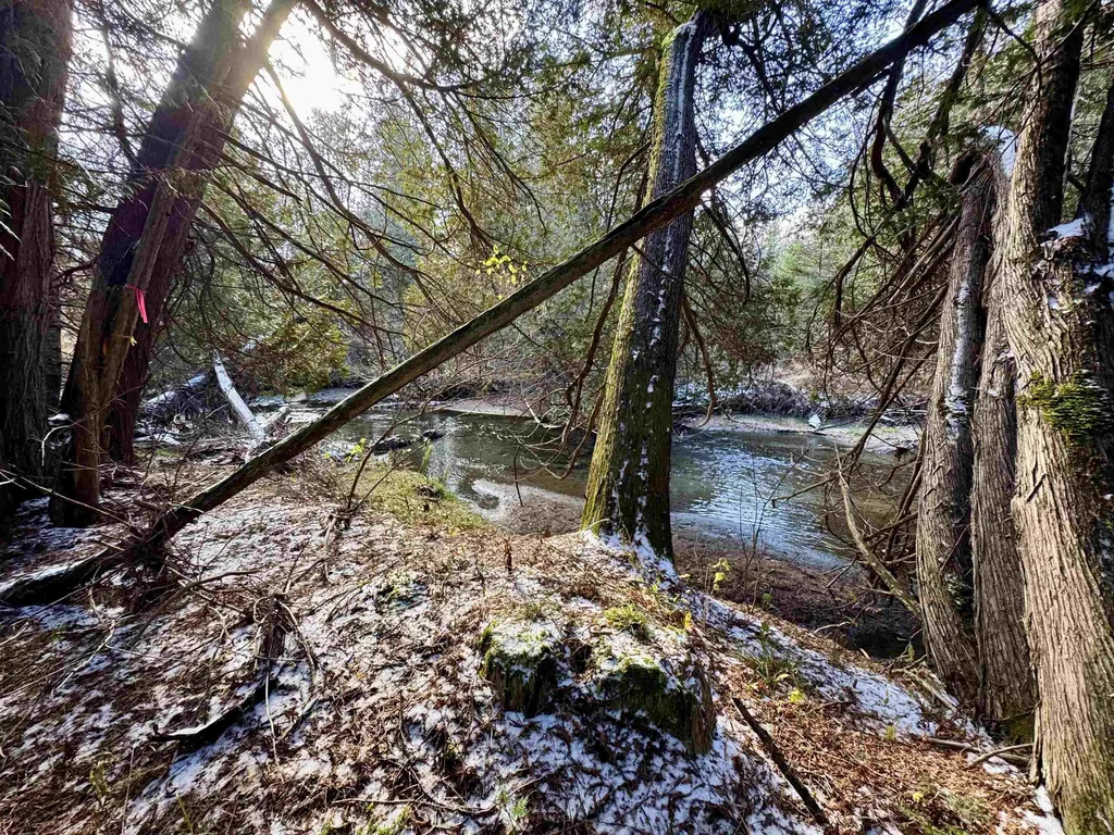 663 Ferguson Road Barnet VT 05821