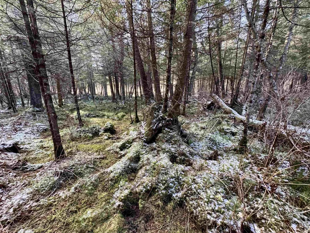 663 Ferguson Road Barnet VT 05821