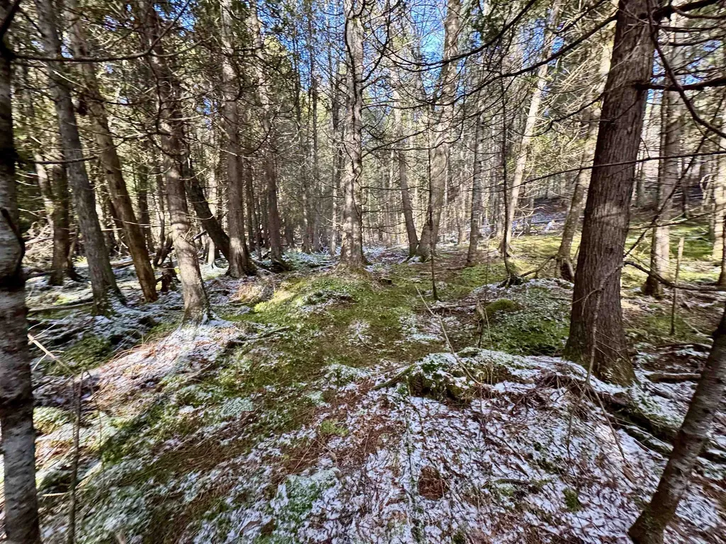 663 Ferguson Road Barnet VT 05821