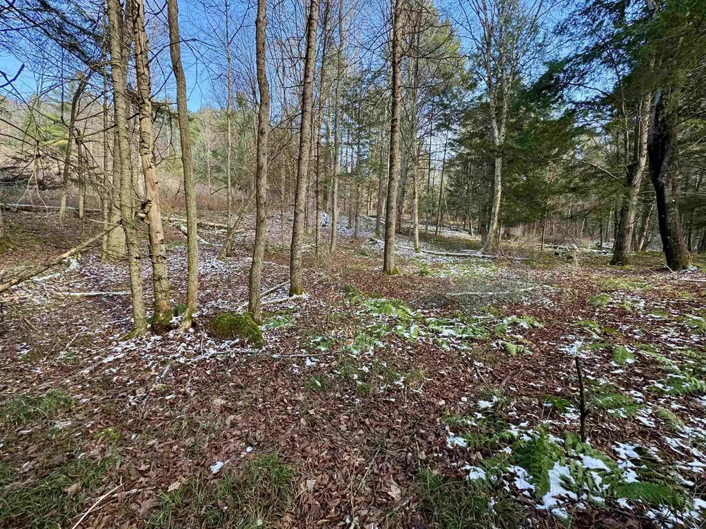 663 Ferguson Road Barnet VT 05821