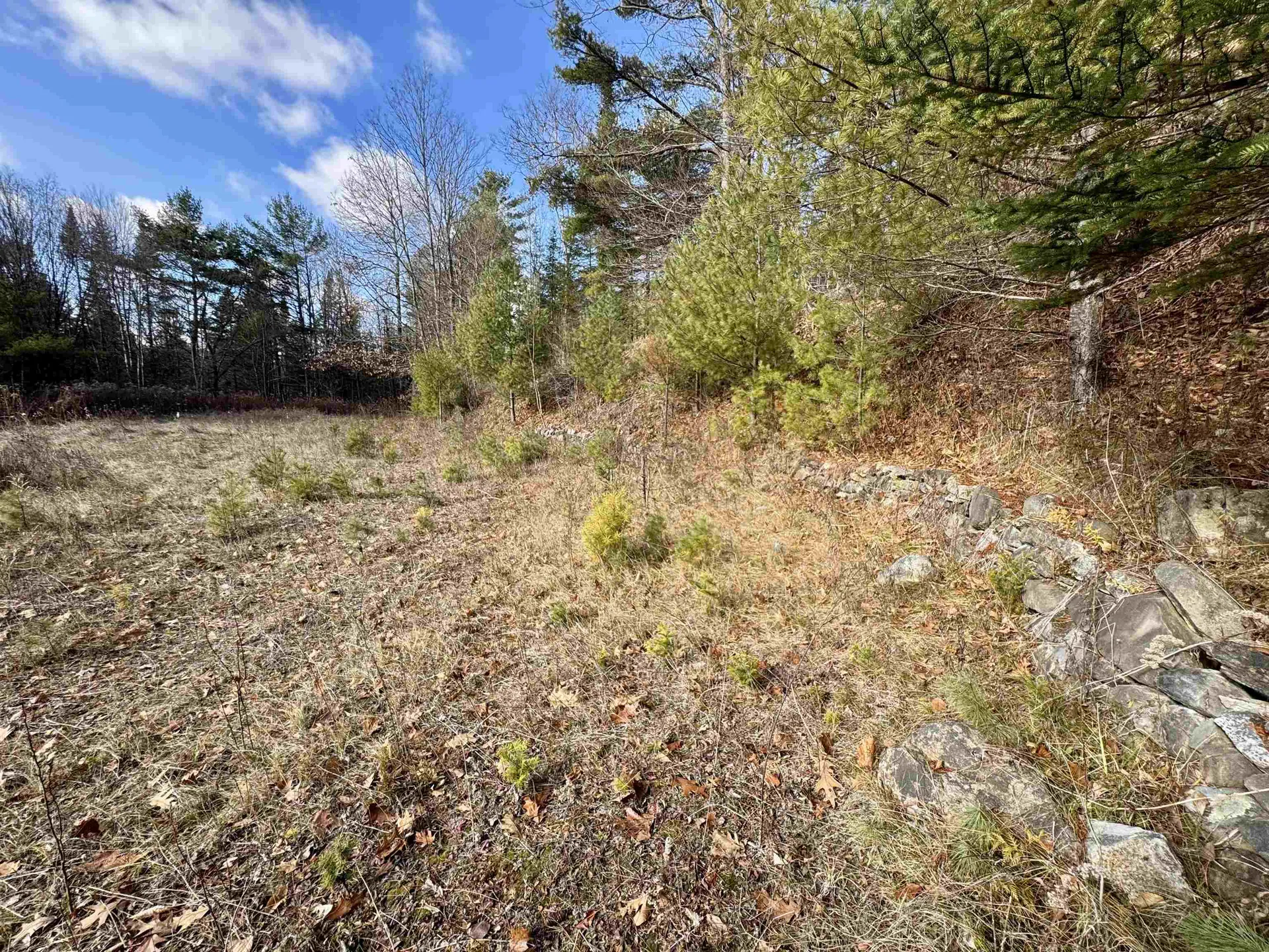 663 Ferguson Road Barnet VT 05821