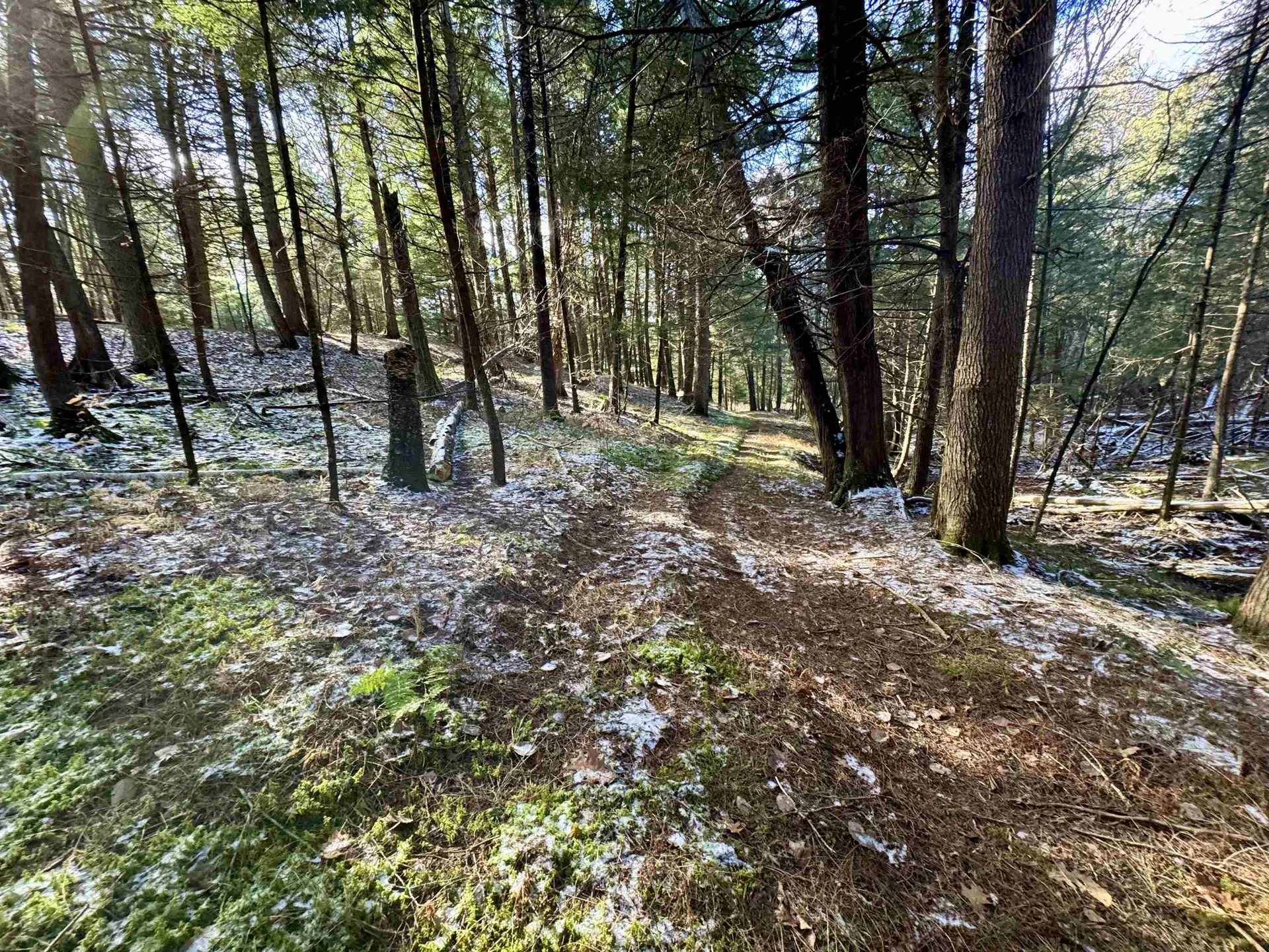 663 Ferguson Road Barnet VT 05821