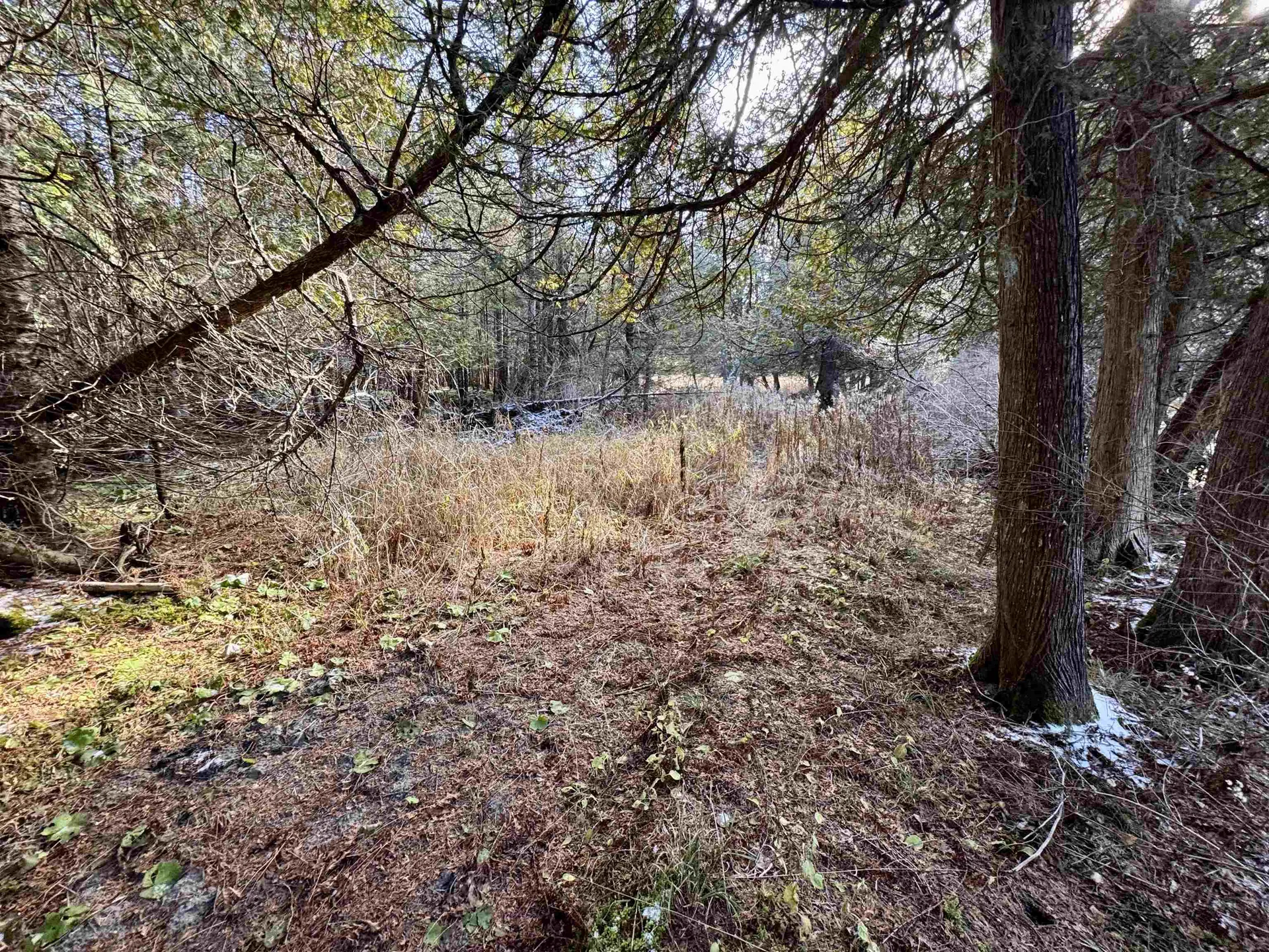 663 Ferguson Road Barnet VT 05821