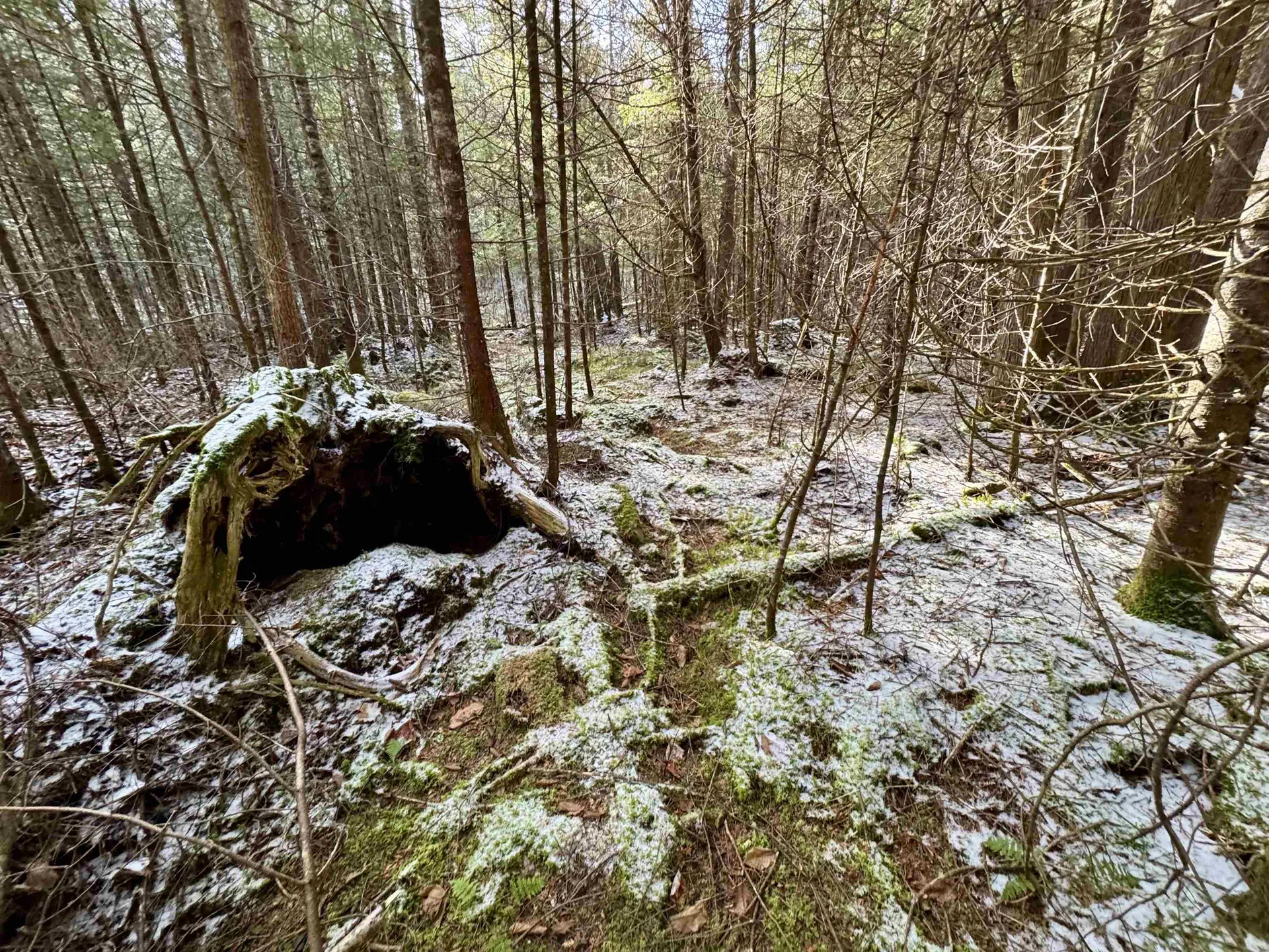 663 Ferguson Road Barnet VT 05821