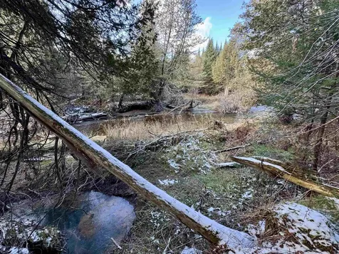 663 Ferguson Road Barnet VT 05821