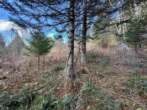 663 Ferguson Road Barnet VT 05821