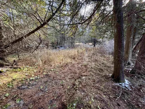 663 Ferguson Road Barnet VT 05821