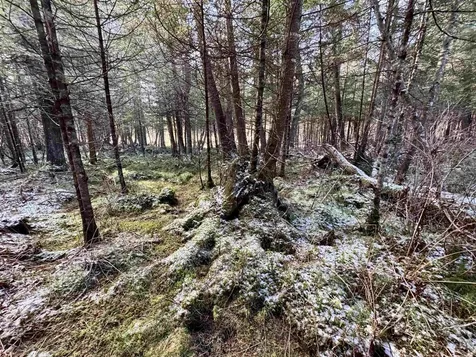 663 Ferguson Road Barnet VT 05821