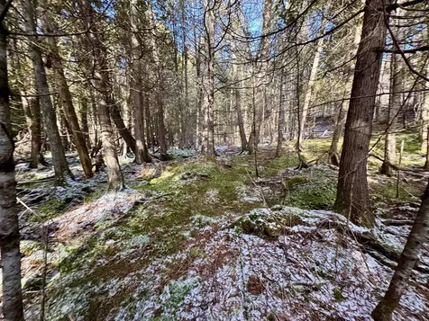 663 Ferguson Road Barnet VT 05821