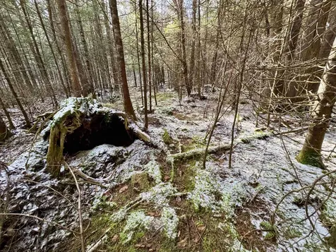 663 Ferguson Road Barnet VT 05821