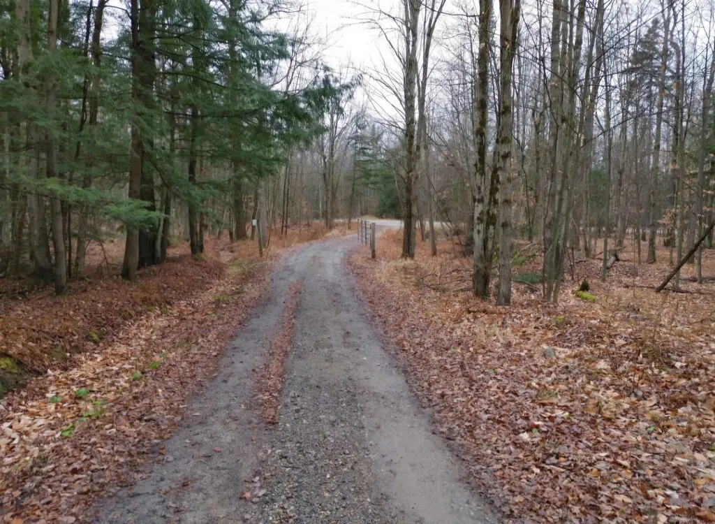 156 White Birch Road Morristown VT 05661