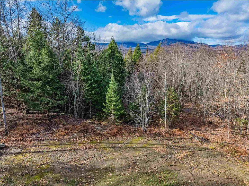 156 White Birch Road Morristown VT 05661