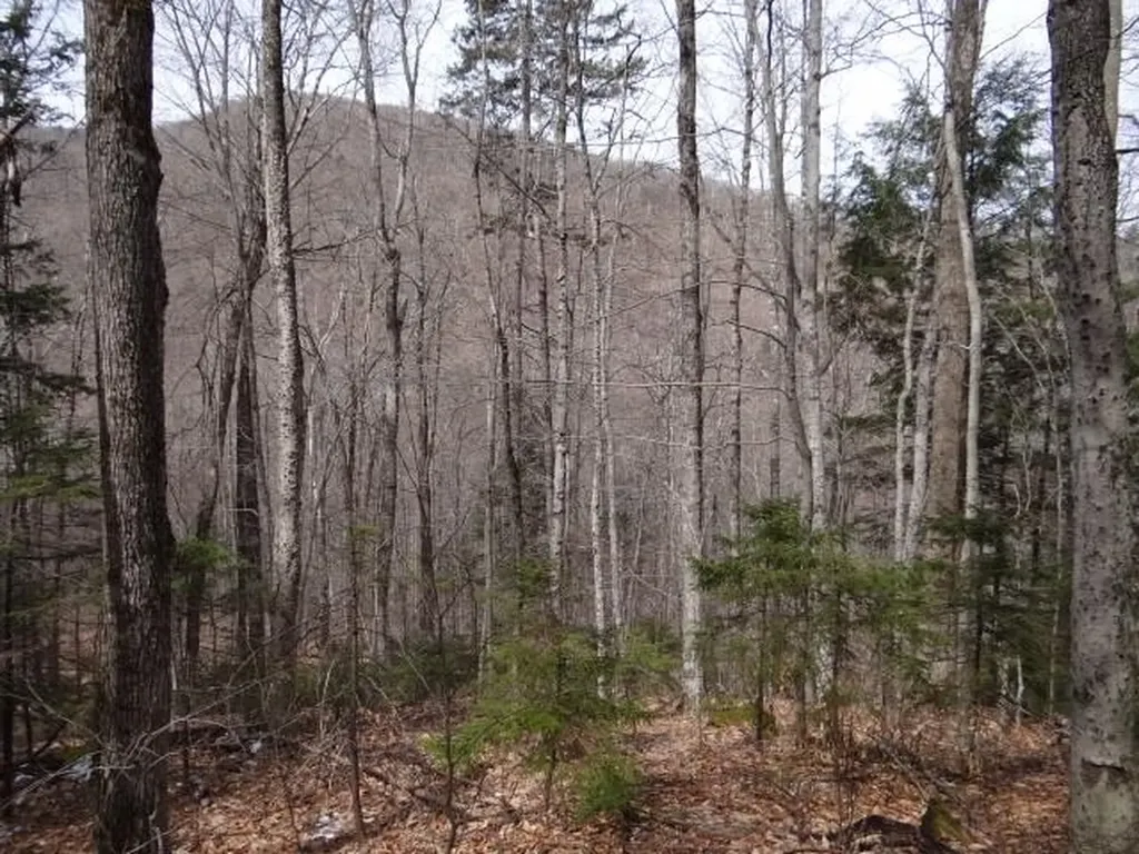 0 South Road Woodstock VT 05071