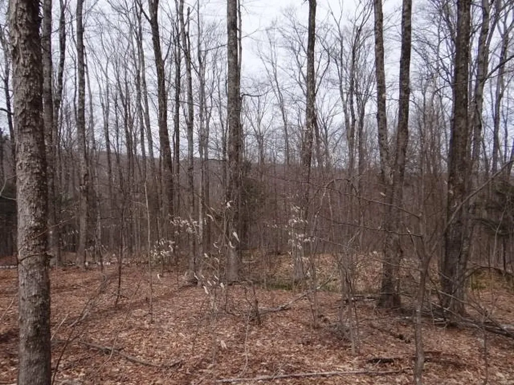 0 South Road Woodstock VT 05071