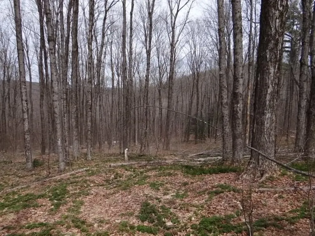 0 South Road Woodstock VT 05071