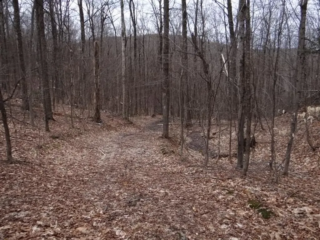 0 South Road Woodstock VT 05071