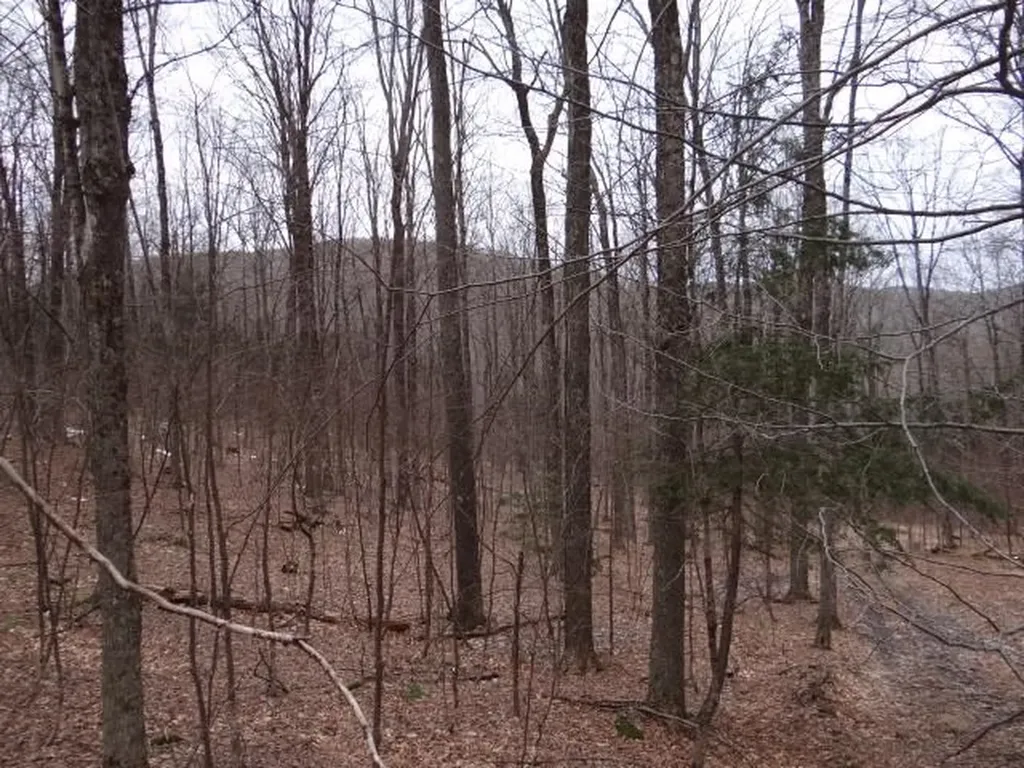 0 South Road Woodstock VT 05071