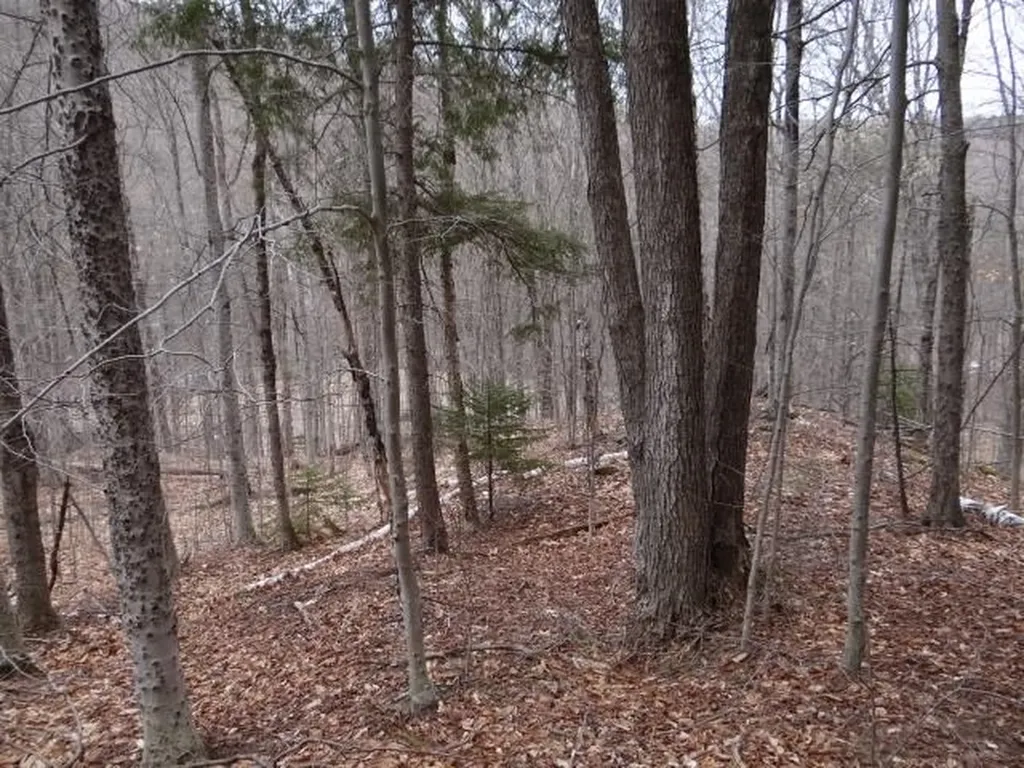 0 South Road Woodstock VT 05071