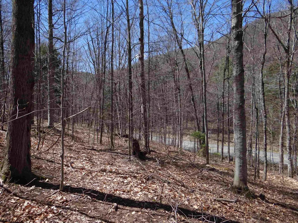 0 South Road Woodstock VT 05071