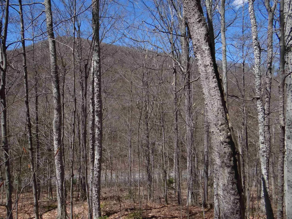 0 South Road Woodstock VT 05071