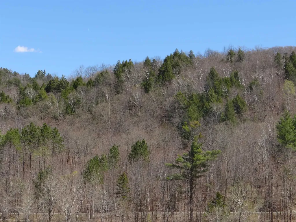 0 South Road Woodstock VT 05071