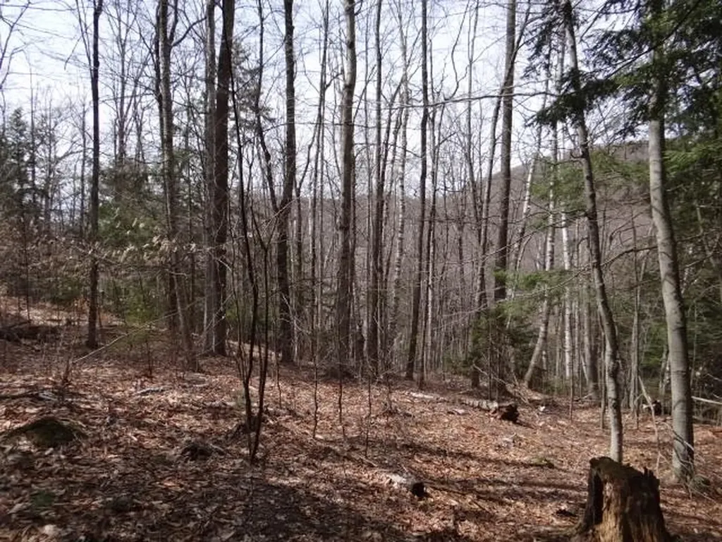 0 South Road Woodstock VT 05071