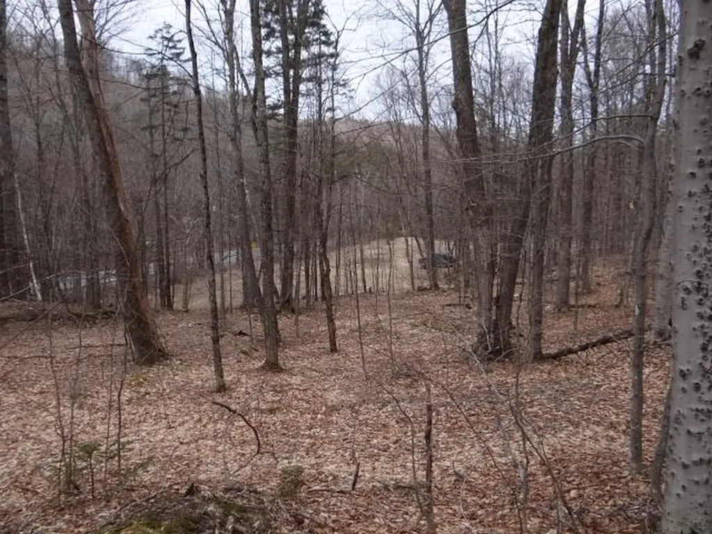 0 South Road Woodstock VT 05071