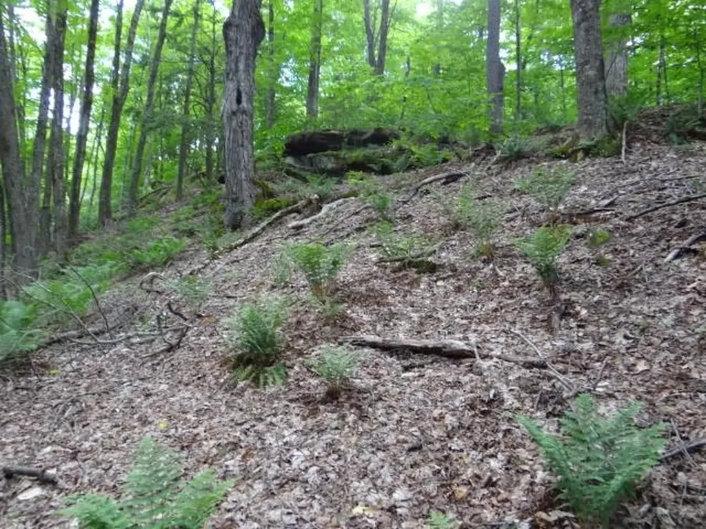 0 South Road Woodstock VT 05071