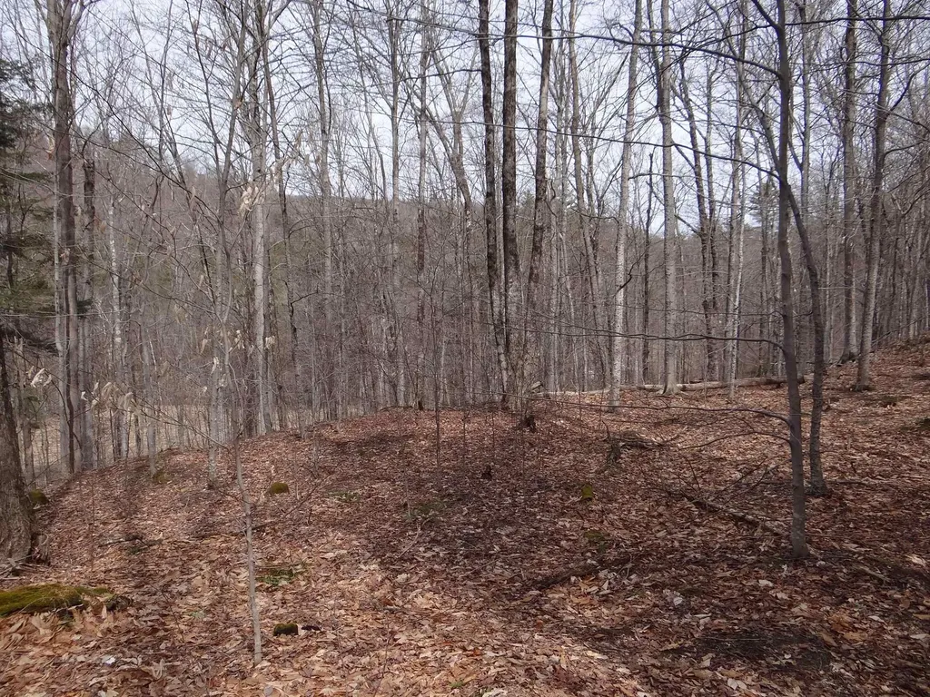 0 South Road Woodstock VT 05071