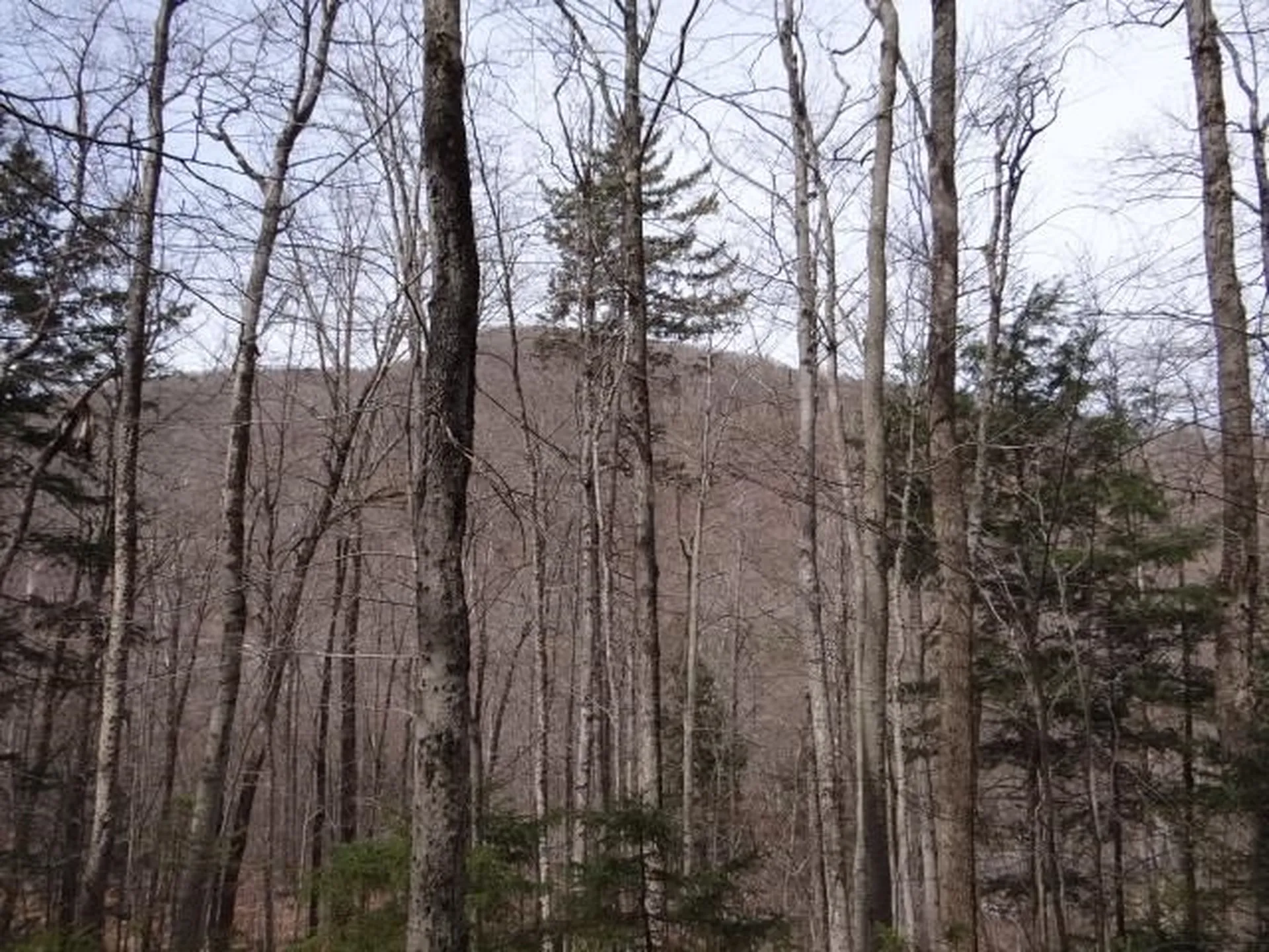 0 South Road Woodstock VT 05071