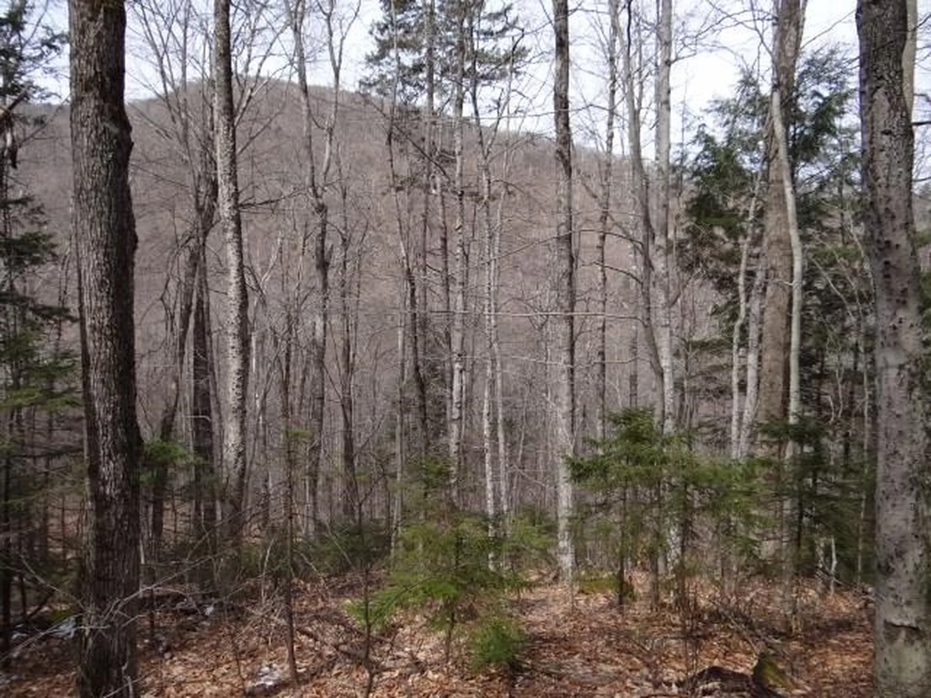 0 South Road Woodstock VT 05071