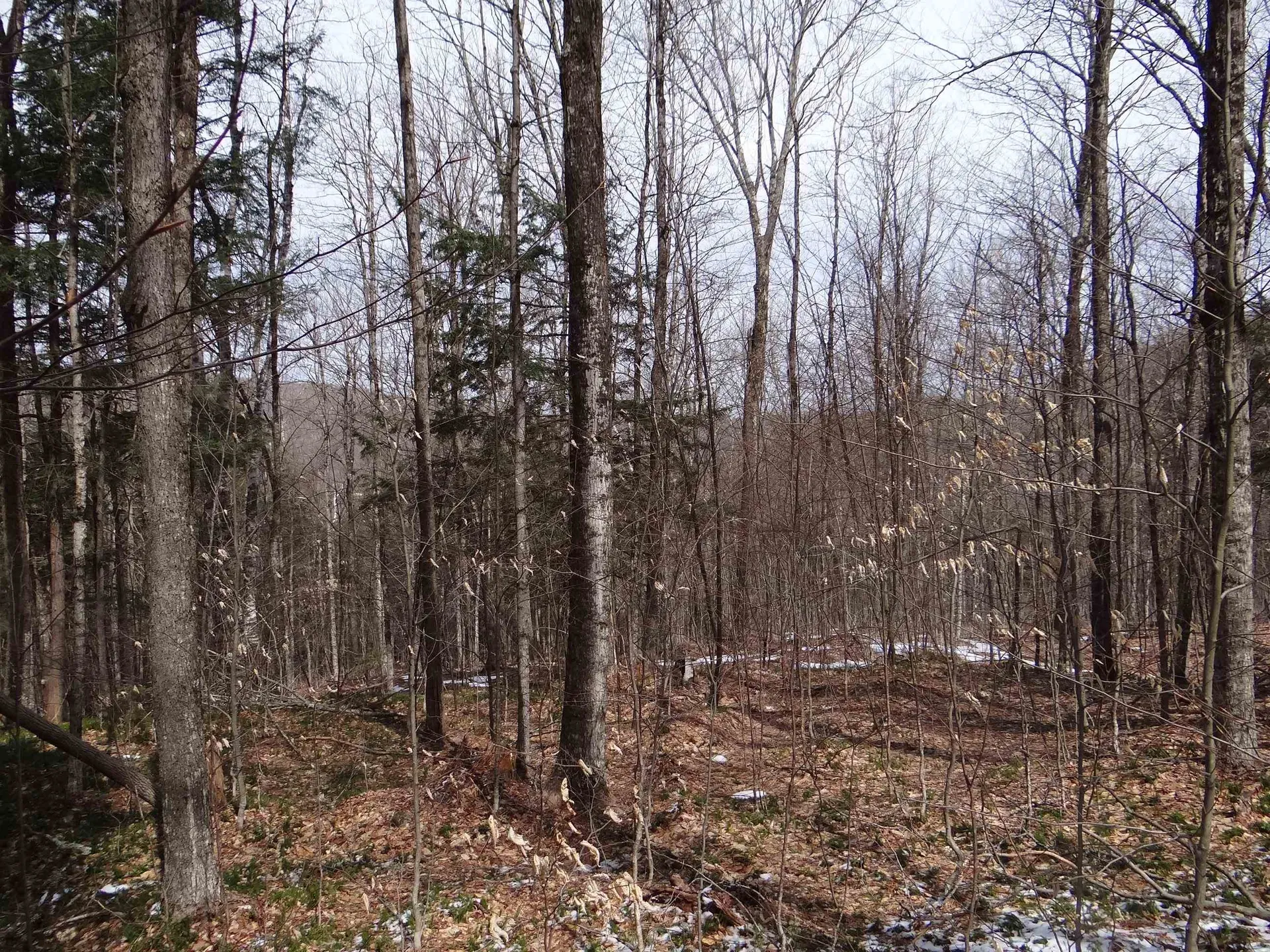 0 South Road Woodstock VT 05071