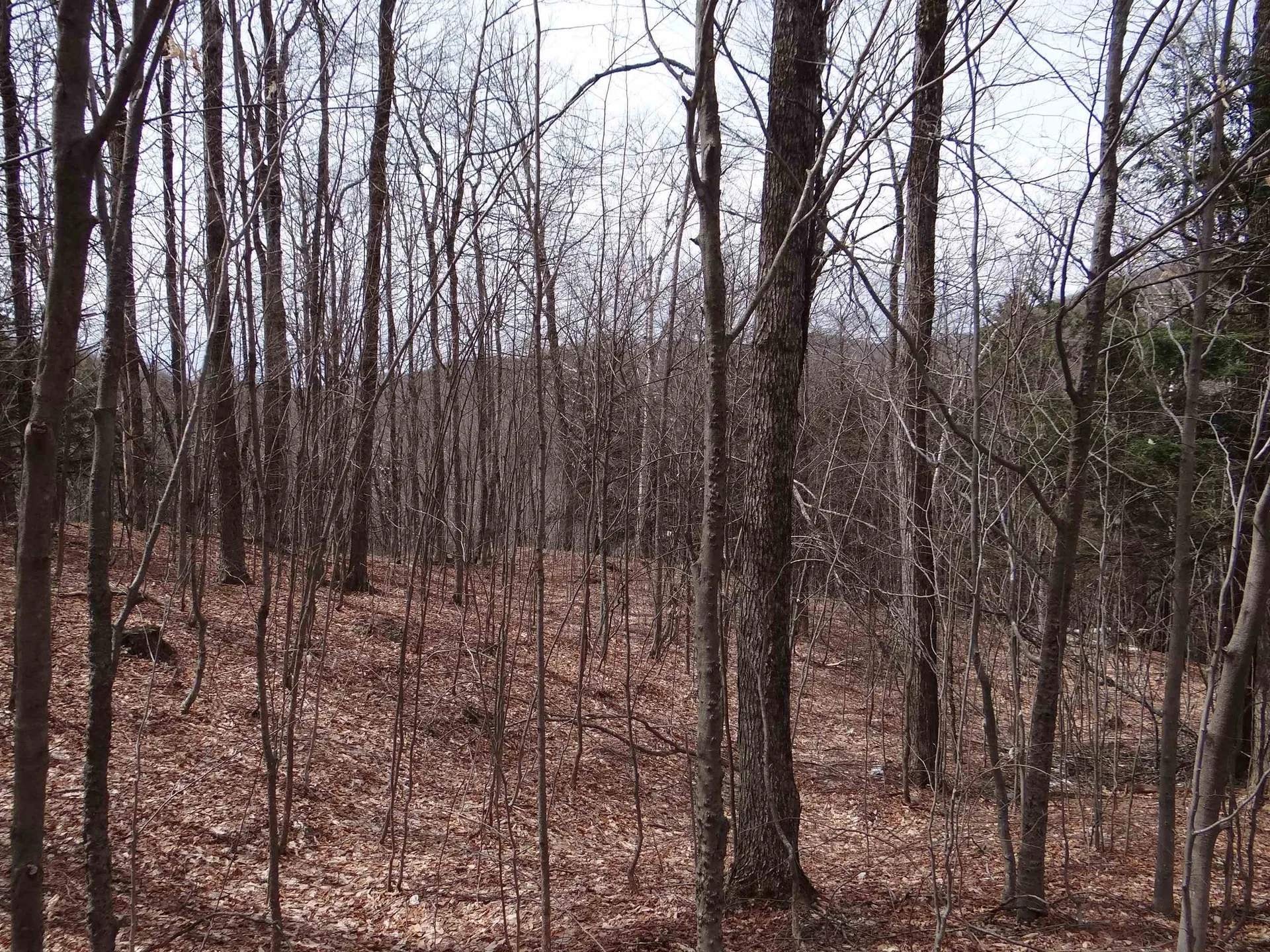 0 South Road Woodstock VT 05071